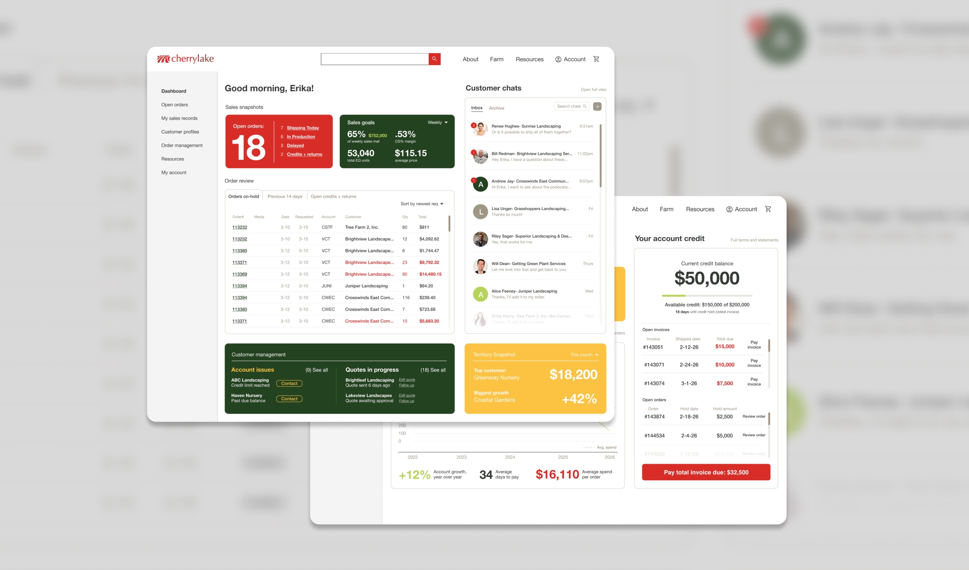 Cherrylake ecomm dashboards 01